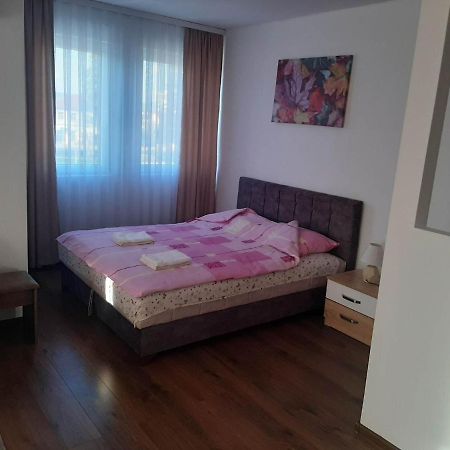 シェニツァ Vila Centar Mb Bed & Breakfast エクステリア 写真