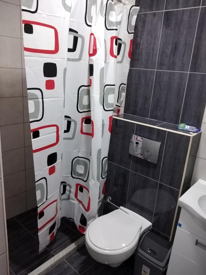シェニツァ Vila Centar Mb Bed & Breakfast エクステリア 写真