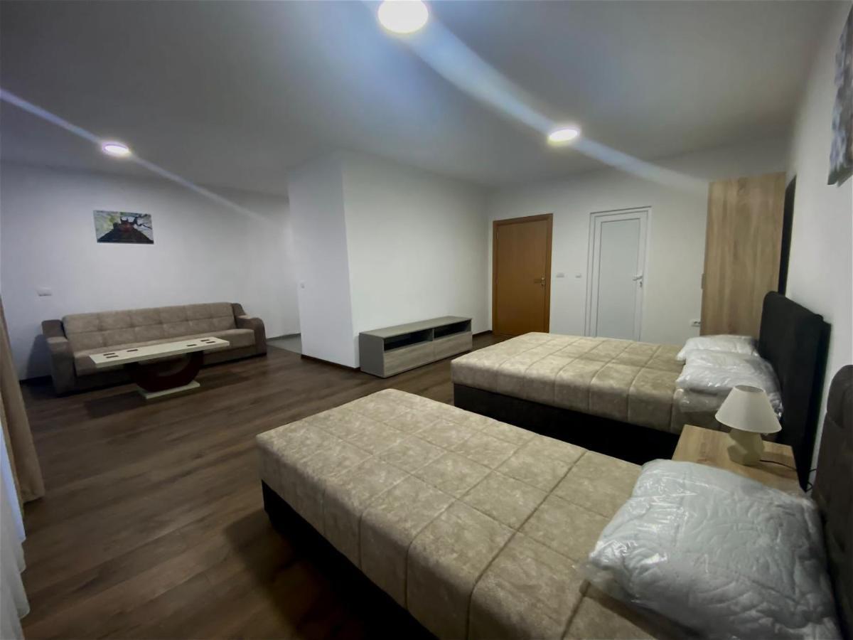 シェニツァ Vila Centar Mb Bed & Breakfast エクステリア 写真