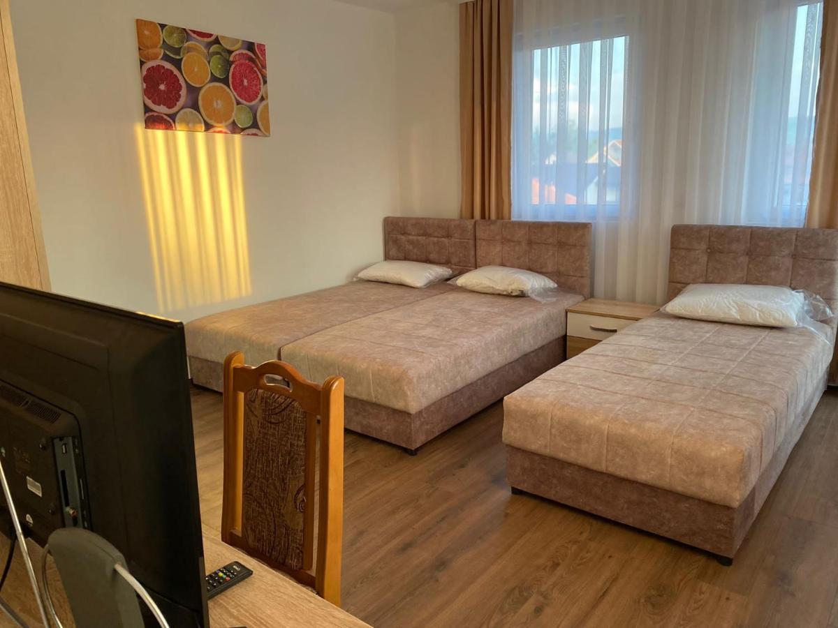 シェニツァ Vila Centar Mb Bed & Breakfast エクステリア 写真