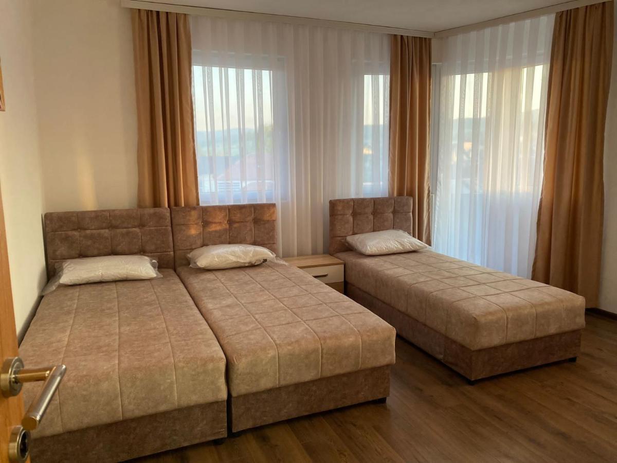 シェニツァ Vila Centar Mb Bed & Breakfast エクステリア 写真